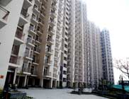 Arihant Arden Actual Site Pic